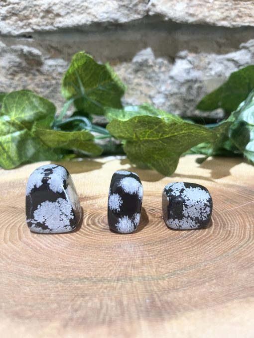 Snowflake Obsidian Crystal Tumble 2cm