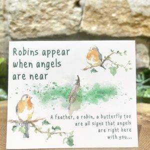 Robins Appear Silver Feather Pin