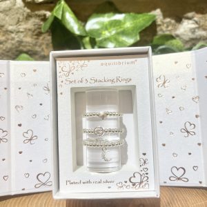 Set of 3 Stacking Rings