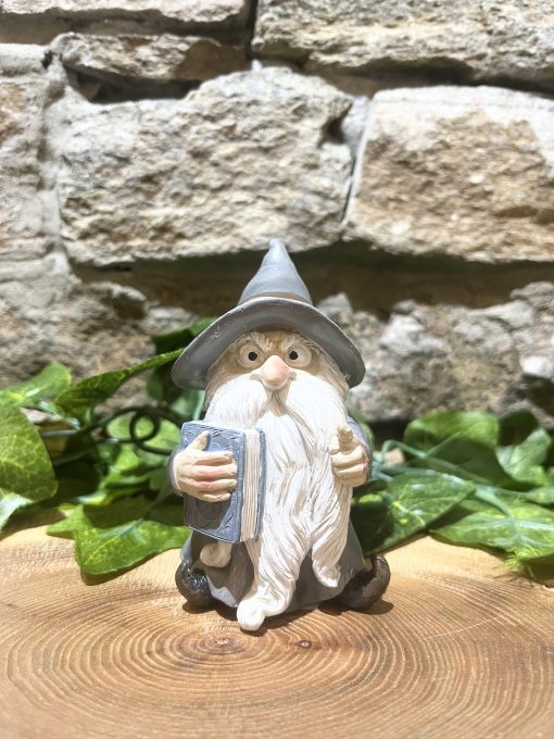 Wizard With Book Ornament