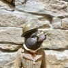Dapper Animal Figurine Mole - Image 2