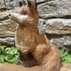 Hessian Mr Fox - Image 2