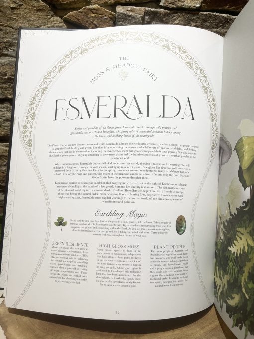 Faedom Hardback Book XL - Image 2