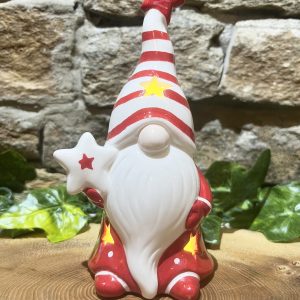 Light Up Gonk Ornament Star