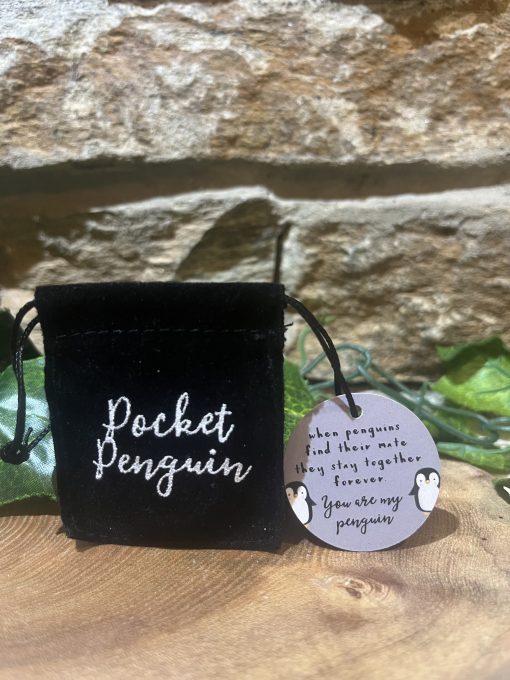 Pocket Penguin Pebble - Image 2