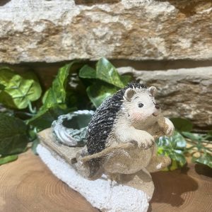 Frosted Hedgehog T.Light Holder