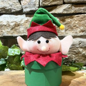 Plushy Elf Gift Box