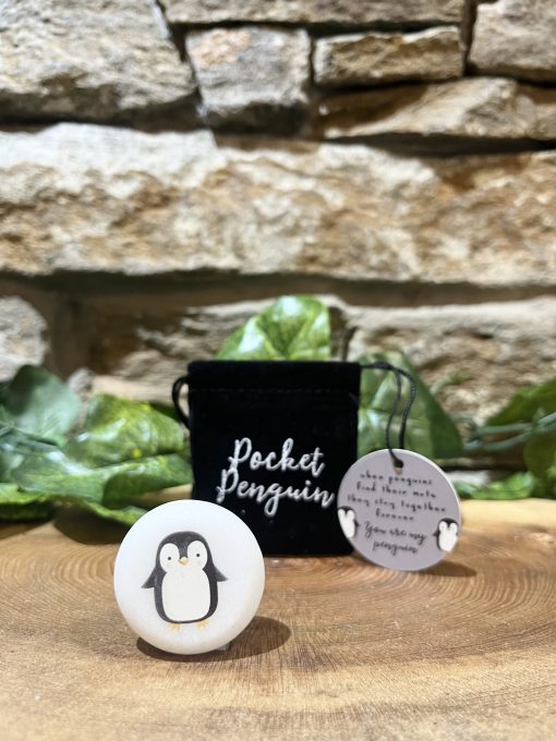 Pocket Penguin Pebble - Image 3