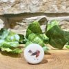Little Robin Pebble in Bag