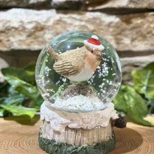 Little Robin Snow Globe Santa Hat