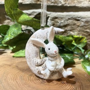 Bunny On Moon Hanger