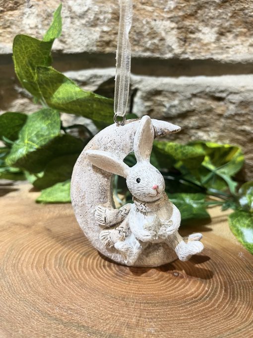 Bunny On Moon Hanger