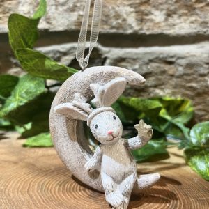 Reindeer Bunny On Moon Hanger
