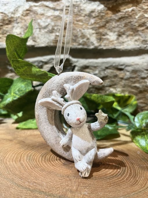 Reindeer Bunny On Moon Hanger