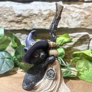 Cat with Witches Broom Purple Hat