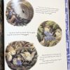 Tiny Jenny Fairy Story Book - Image 3