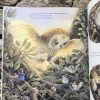 Tiny Jenny Fairy Story Book - Image 2