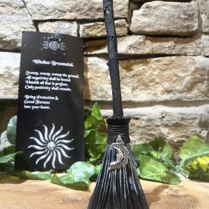 Positivity Broomstick Moon