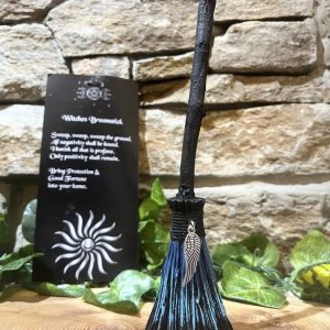 Positivity Broomstick Angel Wing