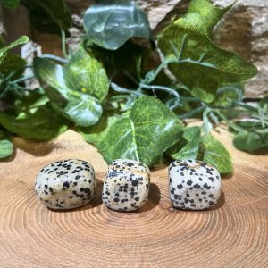 Dalmatian Jasper Crystal Tumble 2cm