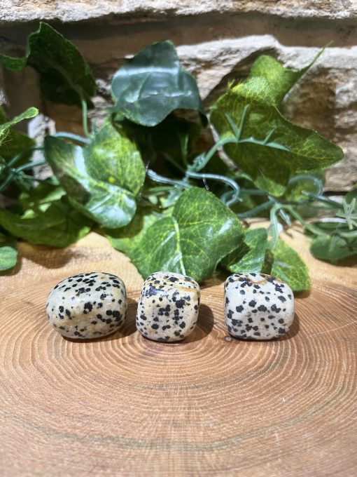 Dalmatian Jasper Crystal Tumble 2cm