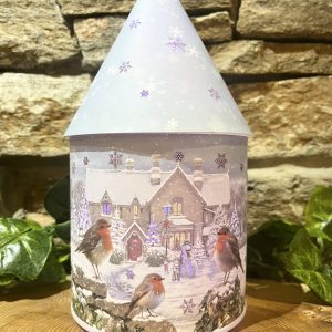 Robin LED Colour Change Lantern