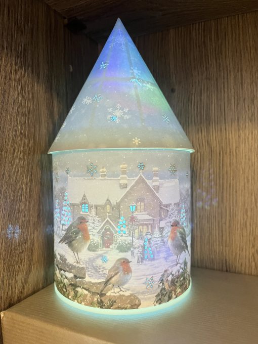 Robin LED Colour Change Lantern - Image 2