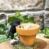 Playful Kittens In Plant Pot Ornament