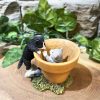 Playful Kittens In Plant Pot Ornament - Image 2