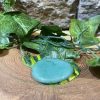 Aventurine Crystal Worry Stone 4cm - Image 2
