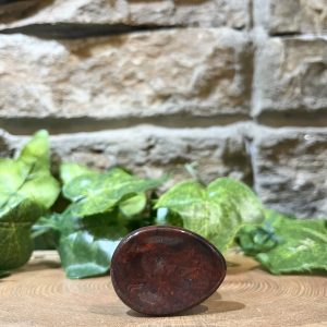 Bloodstone Crystal Thumb Stone