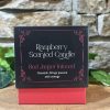 Raspberry Love Potion Crystal Candle