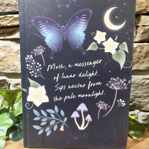 Luna Moth Notebook & Amethyst Pen