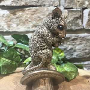 Bronze Field Mouse On Toadstool