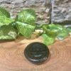 Green Goldstone Crystal Worry Stone 4cm - Image 2