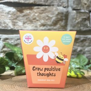 Grow Positive Thoughts Seed Balls