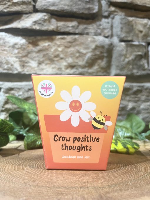 Grow Positive Thoughts Seed Balls