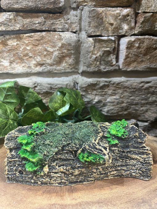 Ivy Log Stump - Image 2