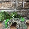 Ivy Log Stump