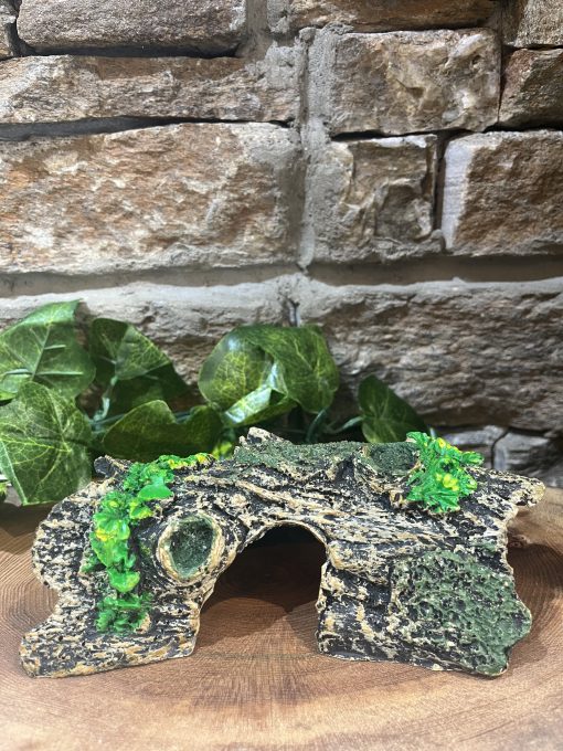 Ivy Log Stump
