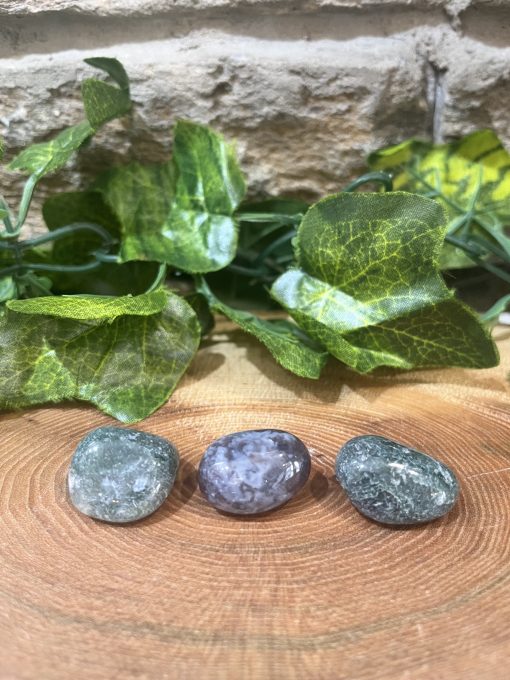 Moss Agate Crystal Tumble 2cm
