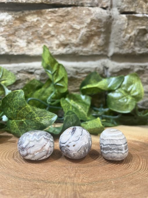 Crazy Lace Agate Crystal Tumble 2.5cm