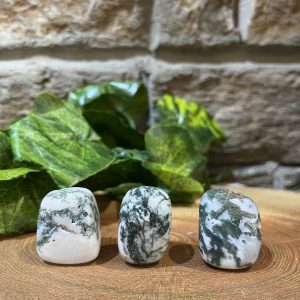 Tree Agate Crystal Tumble 3cm