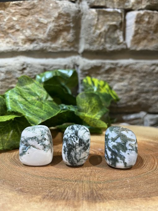 Tree Agate Crystal Tumble 3cm