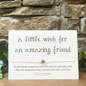 Wish String Bracelet Amazing Friend