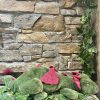 XL Weighted Borealis Dragon Plush - Image 3