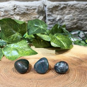Bloodstone Crystal Tumble 1.5cm