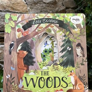 Let’s Explore The Woods Book
