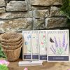 Grow Your Own Seeds Gift Box