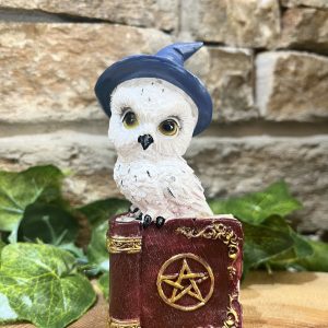Wizard Owl On Spell Book Ornament